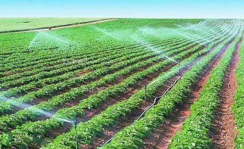 裸体屄屄农田高 效节水灌溉